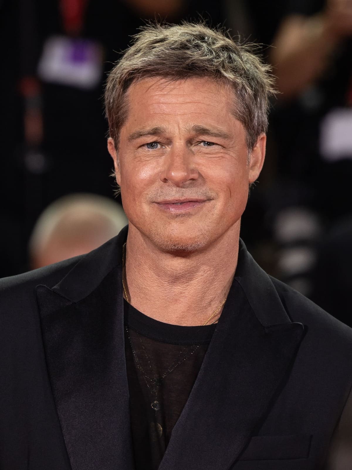 Brad Pitt Net Worth 3