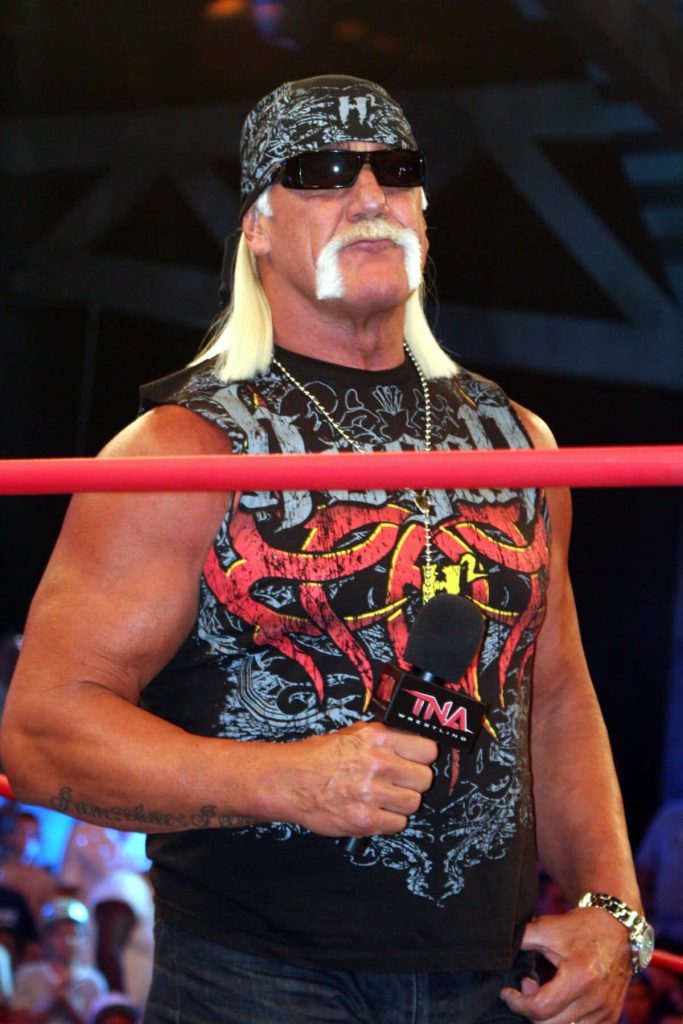 hulk hogan net worth 1