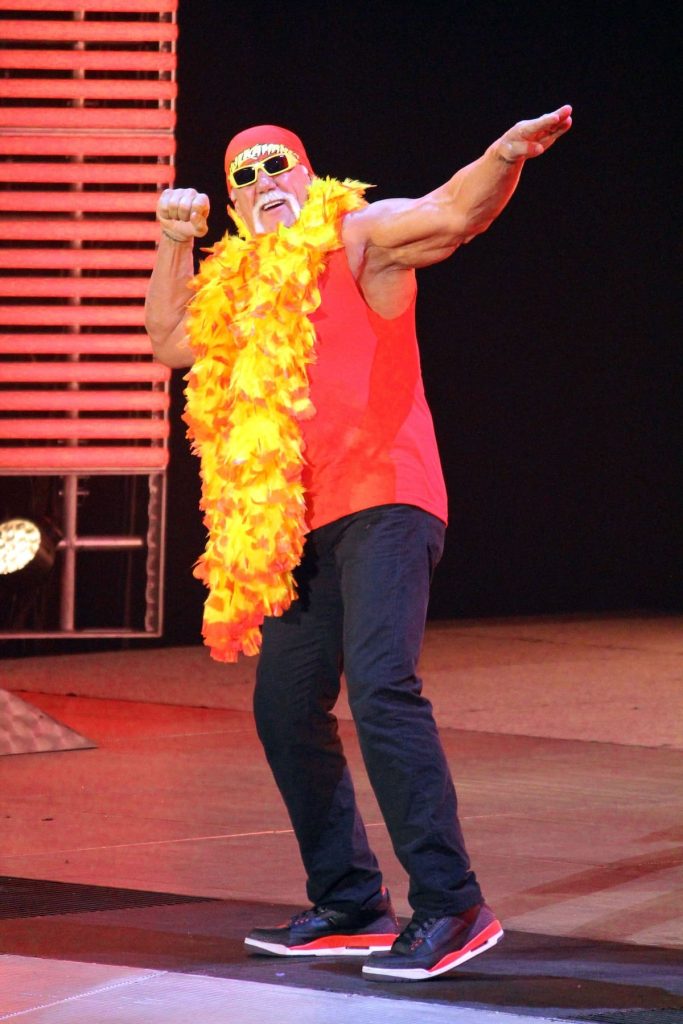 hulk hogan net wroth 2