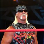 Hulk Hogan Small