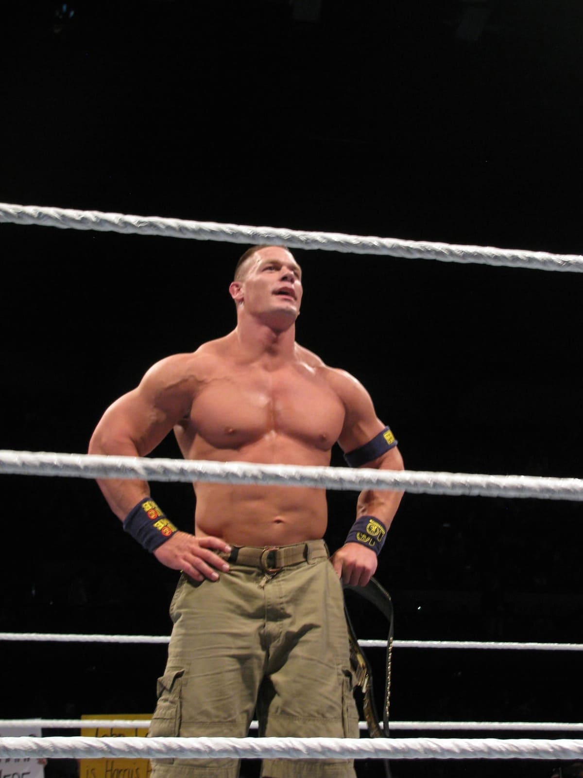 John Cena Net Worth 2