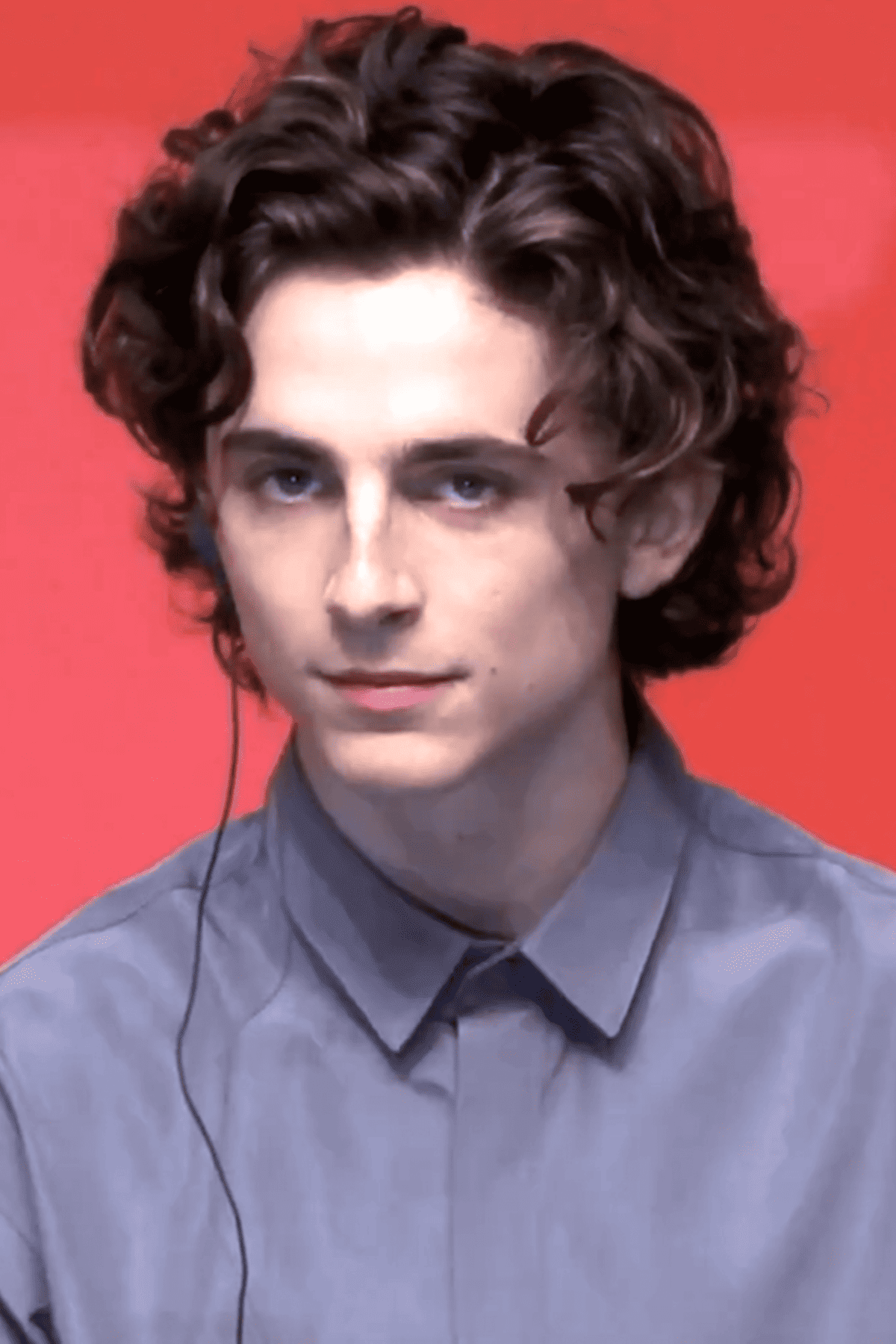 Timothée Chalamet Net Worth 1