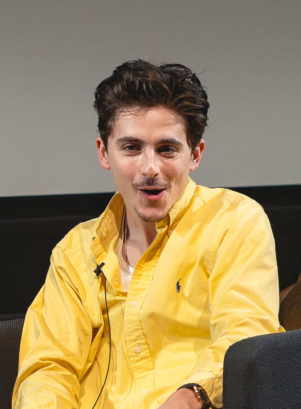Timothée Chalamet Net Worth 2