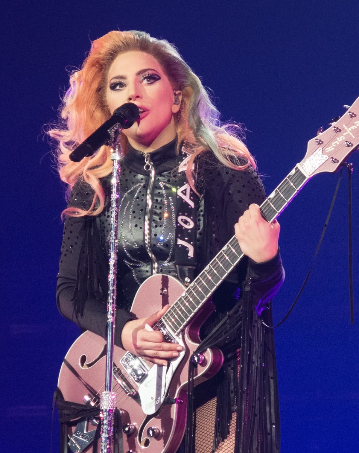 Lady Gaga Net Worth 2